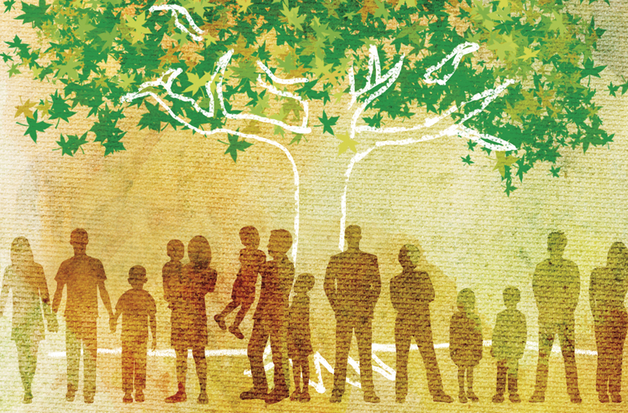illustration of a tree with family groupings